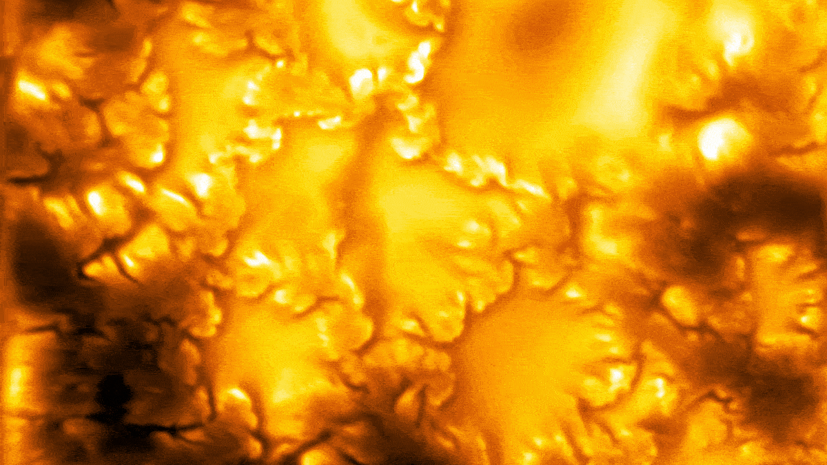 The Sun’s Mini Tornados