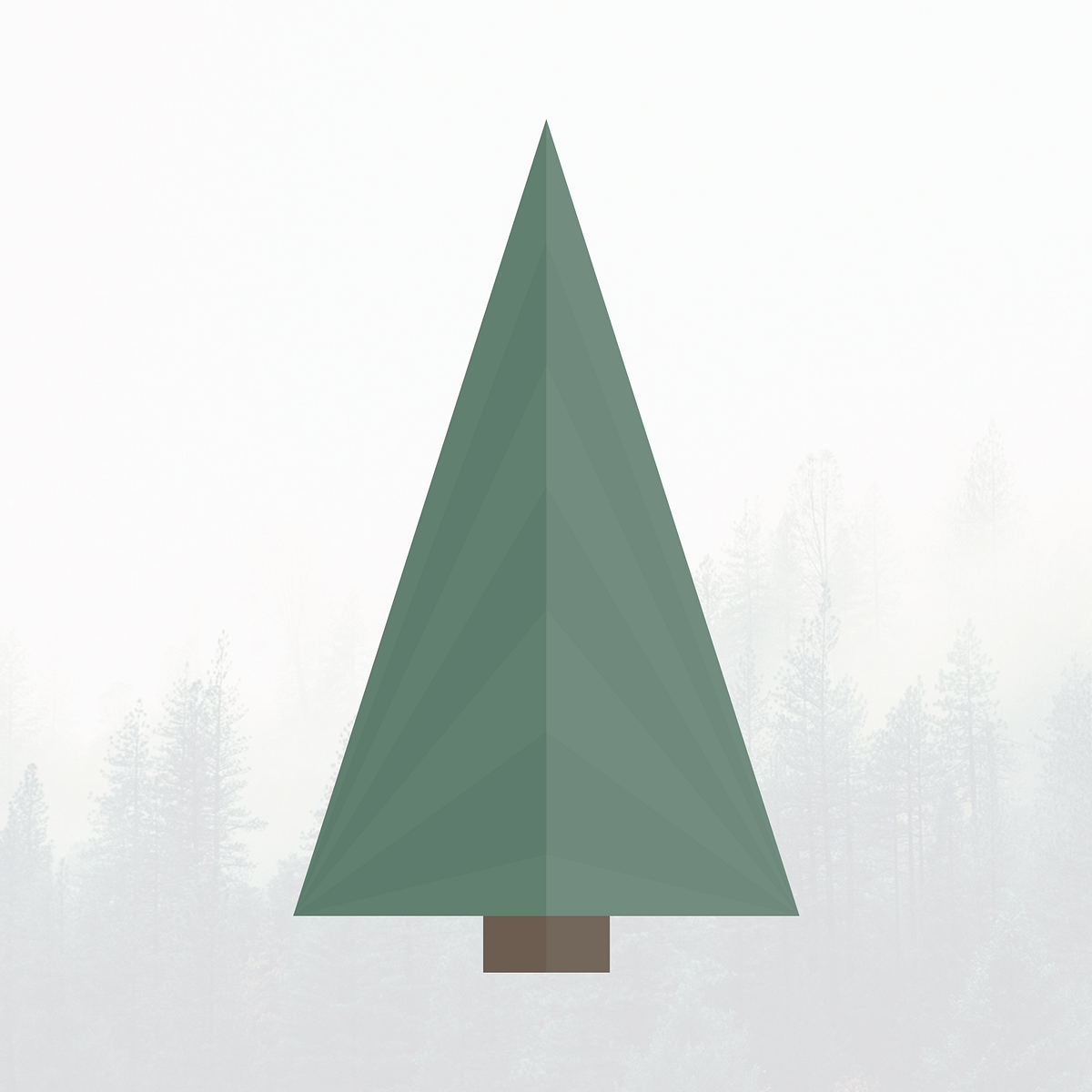 Evergreen Labs Medium