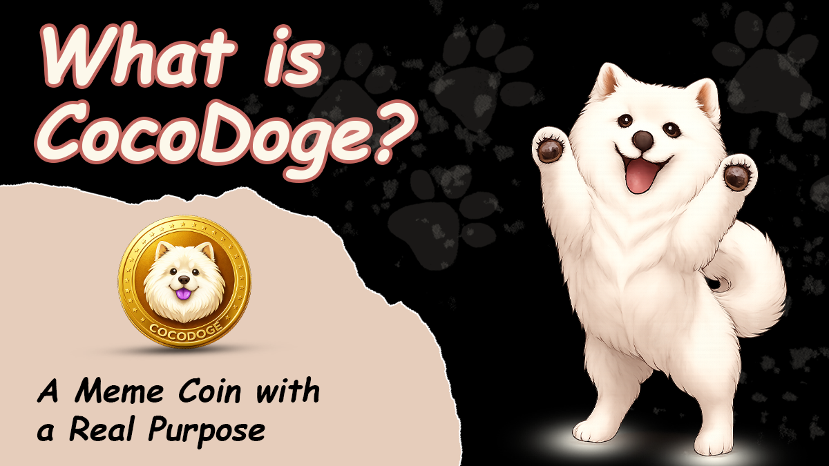 The Story of Coco: Why We Started CocoDoge