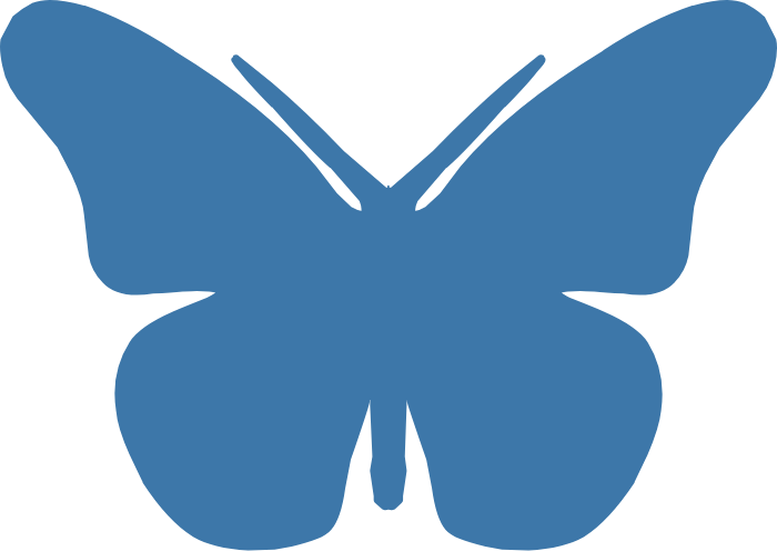 The Travel Bug Medium The Travel Bug Medium