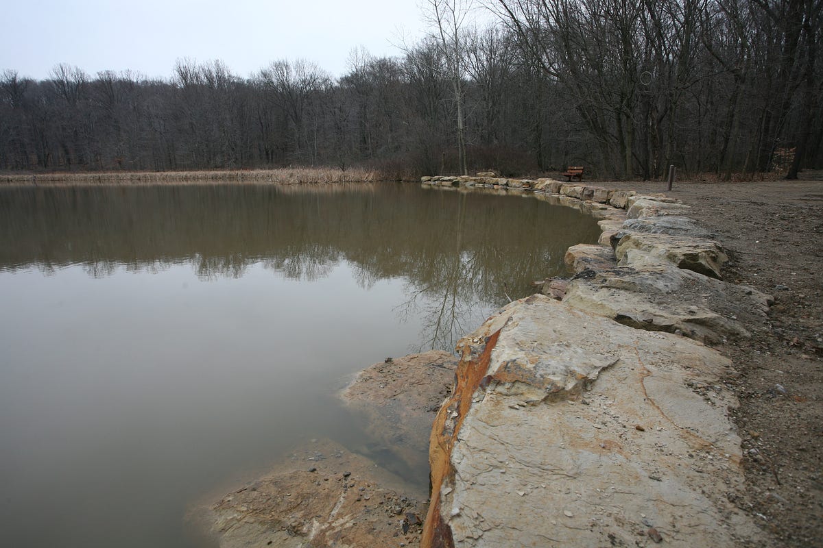 Restored and Restocked Alder Pond gets New Life Summit Metro Parks Medium