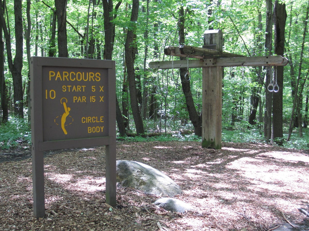 Restored and Restocked Alder Pond gets New Life Summit Metro Parks Medium