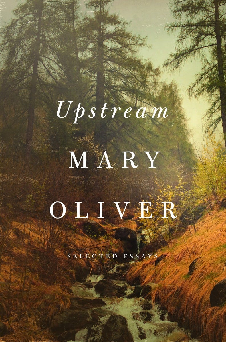 mary oliver essay mary oliver essay