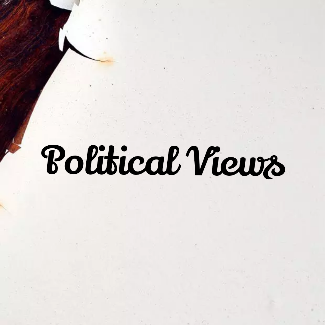 what does political view meaning