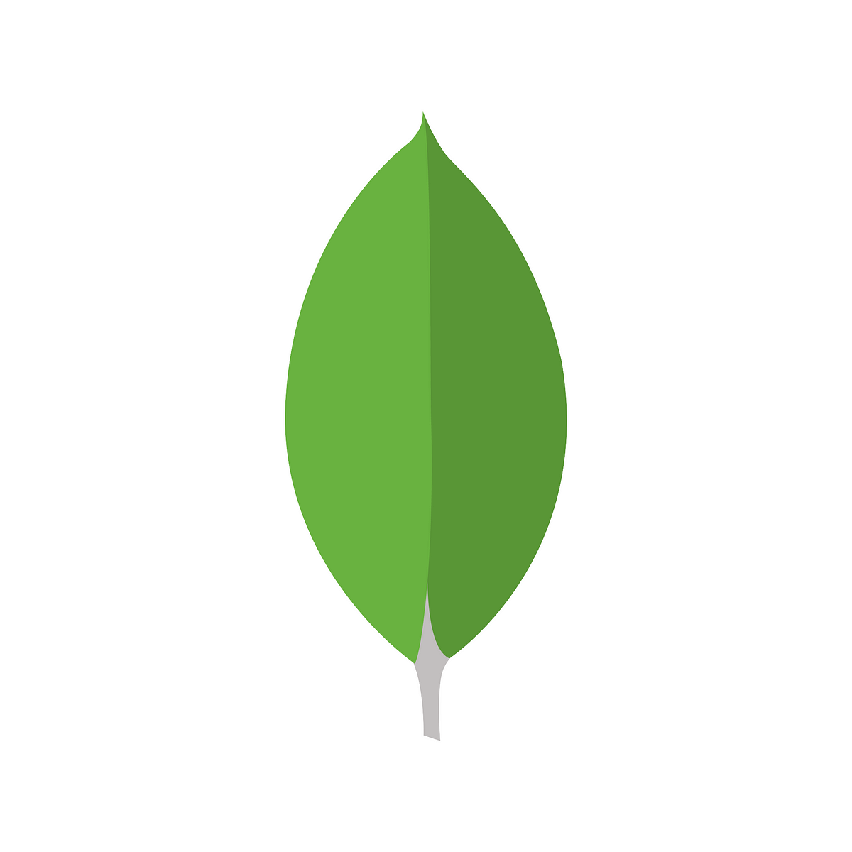 mongodb-medium