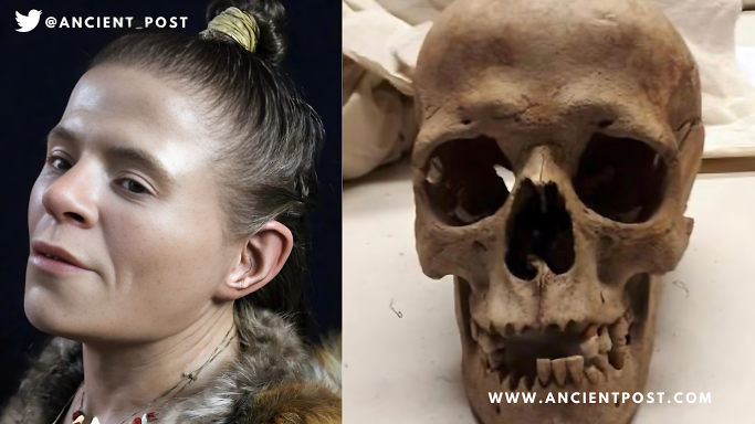 Unveiling the Face of a Stone Age Woman from a 4,000-Year-Old Skull Found in Sweden