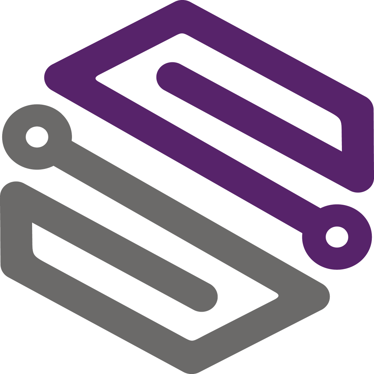 The Forwarding Plane Medium
