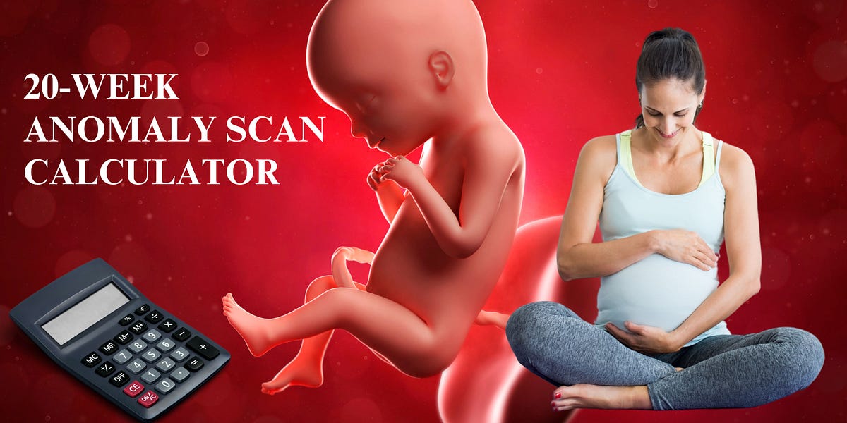 20 Week Anomaly Scan Calculator Medium 20 Week Anomaly Scan Calculator Medium