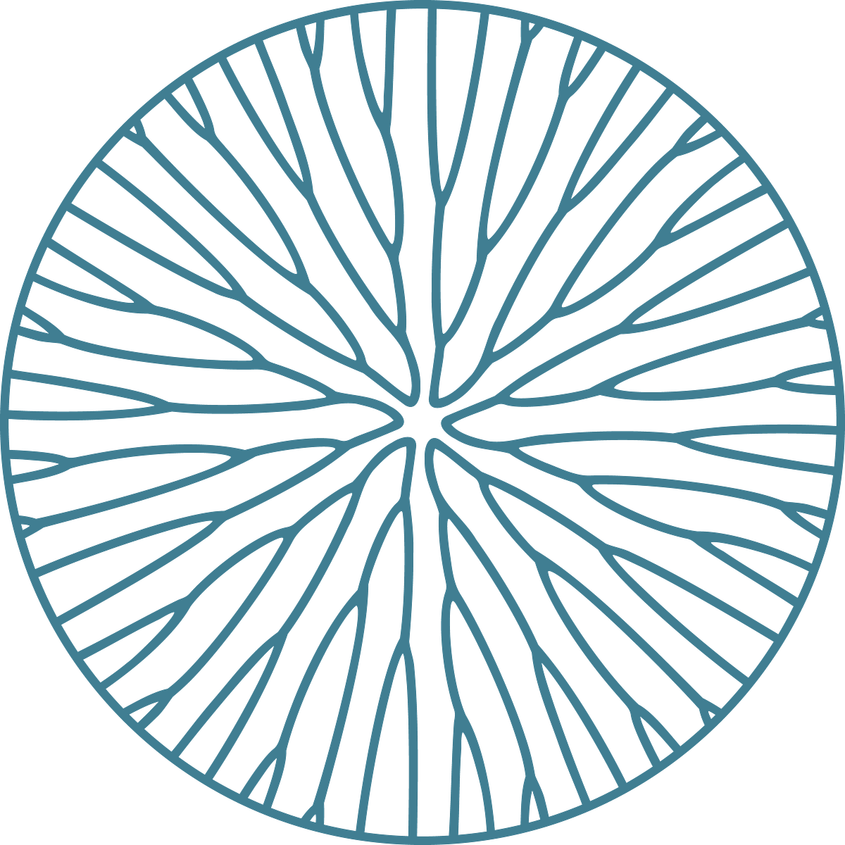 Biomimetics International Medium