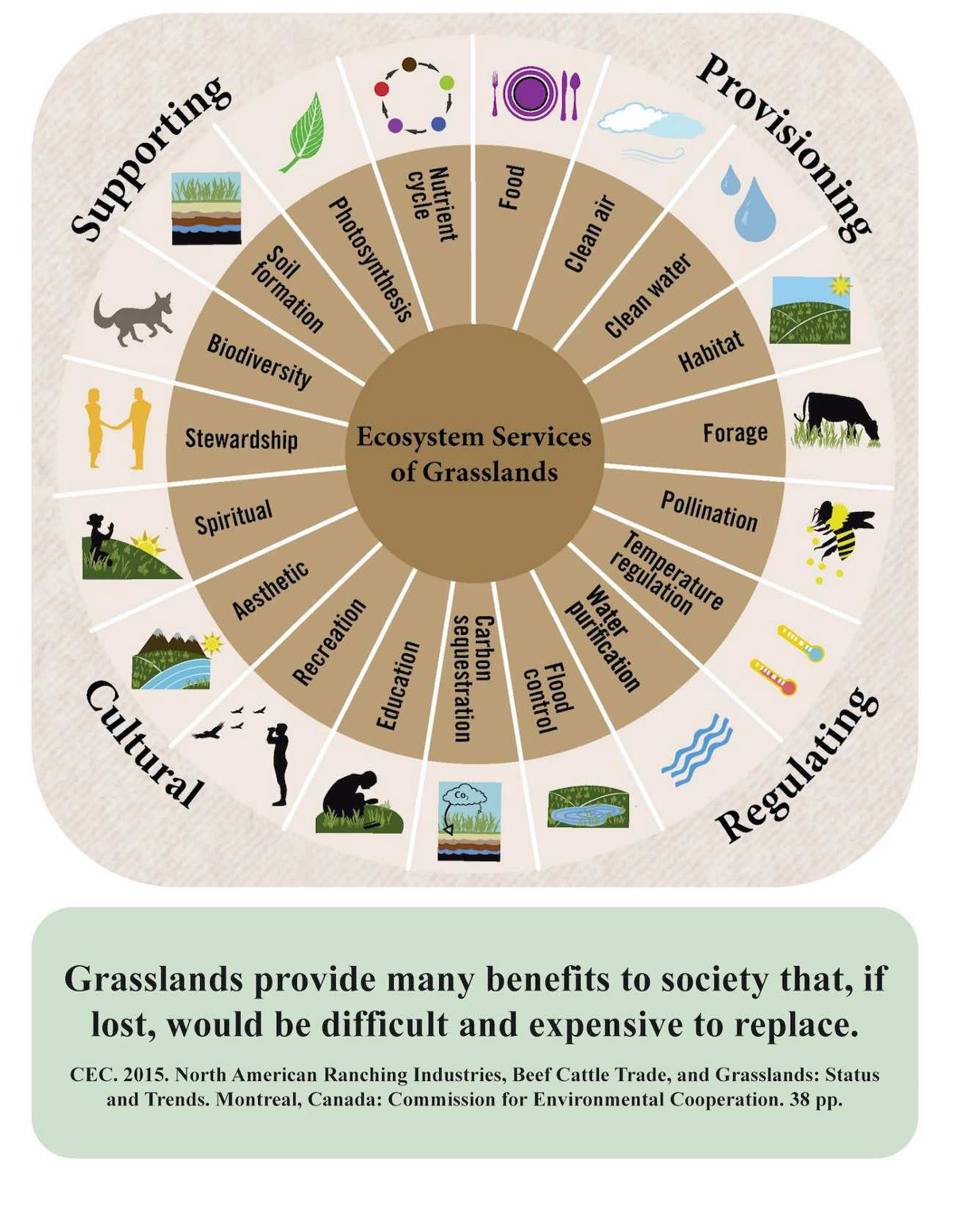 Why Should We Save Endangered Species And How To Start Going About It