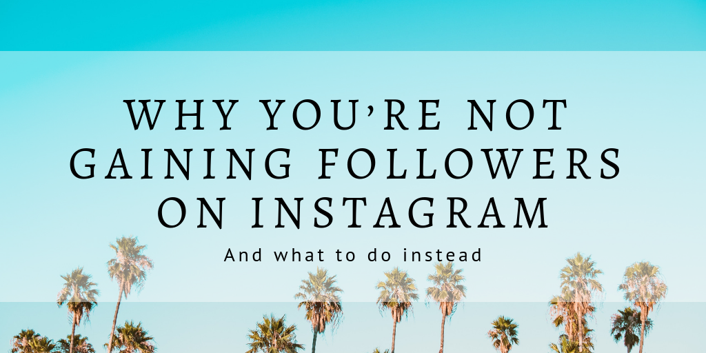  - strategy to gain followers on instagram