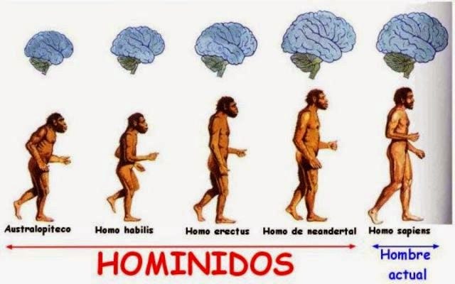 Resultado de imagen para evolucion del hombre