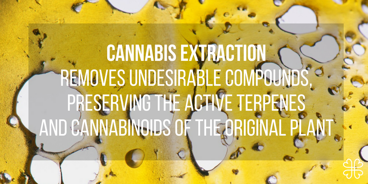 Cannabis Extractions: The Complete Guide – Welcome To Harmony – Medium