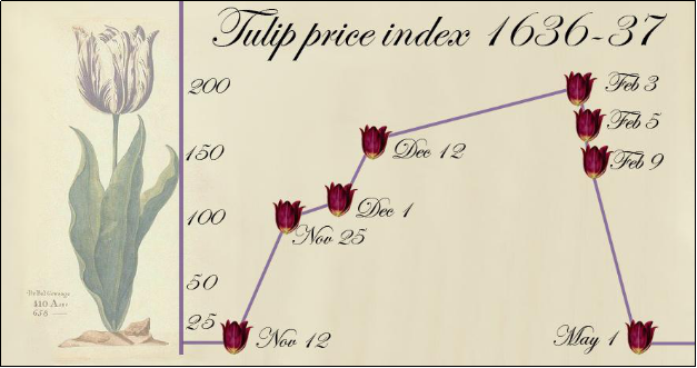 tulip bulb mania bitcoin