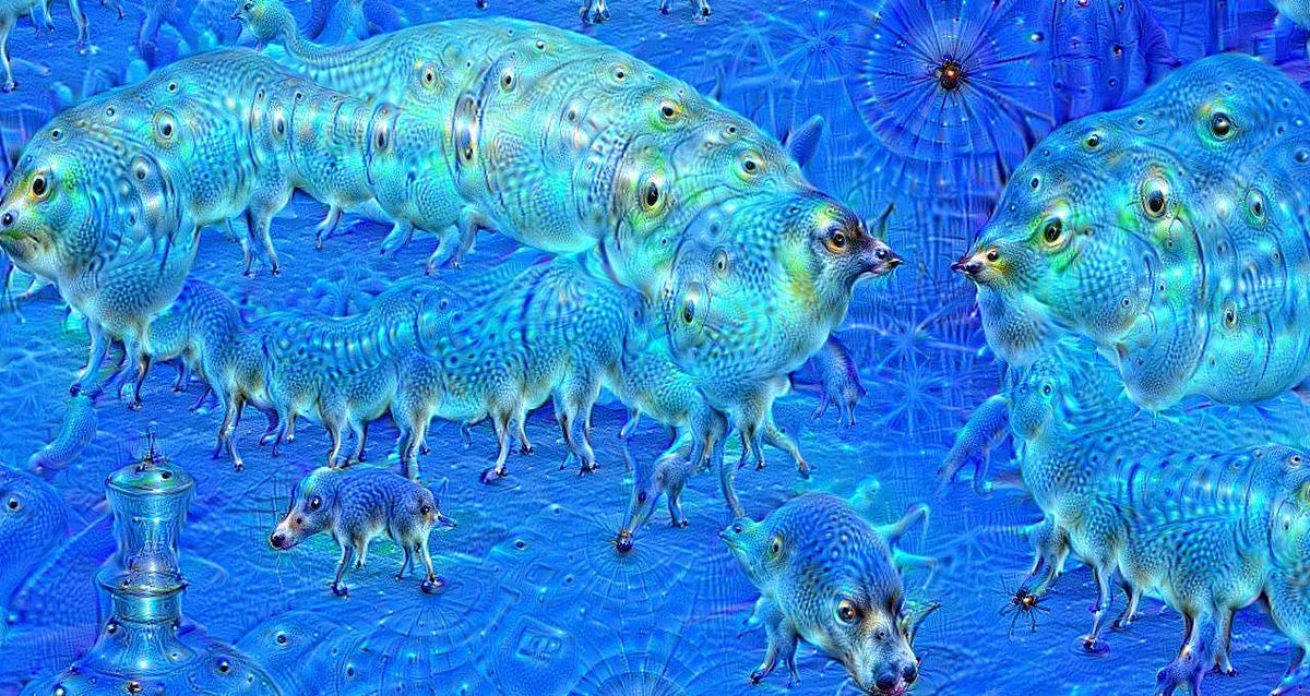 A strange visual created by the Google Dream neural network.