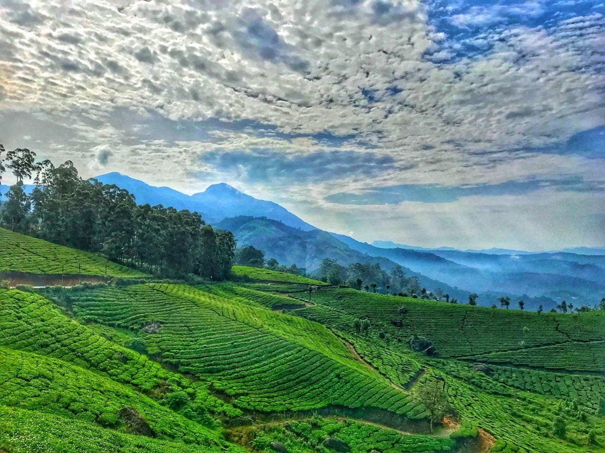 Munnar - Mountains And Mist – Neha Kumari – Medium