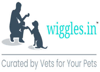 Wiggles India – Wiggles for your pet! – Medium