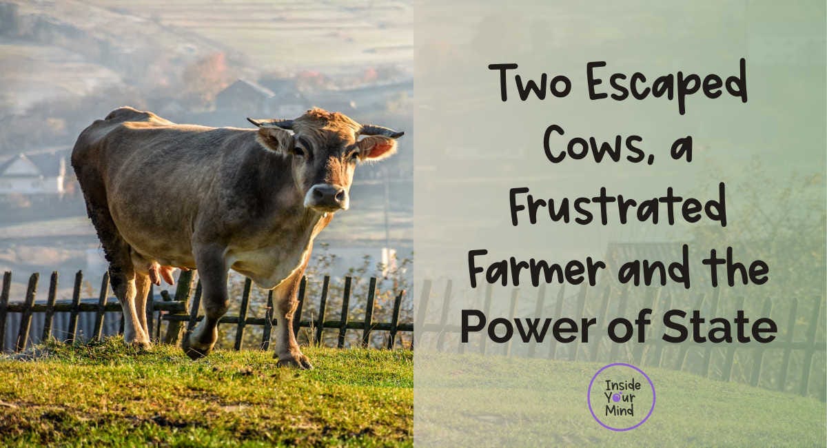 Two Escaped Cows, a Frustrated Farmer and the Power of State