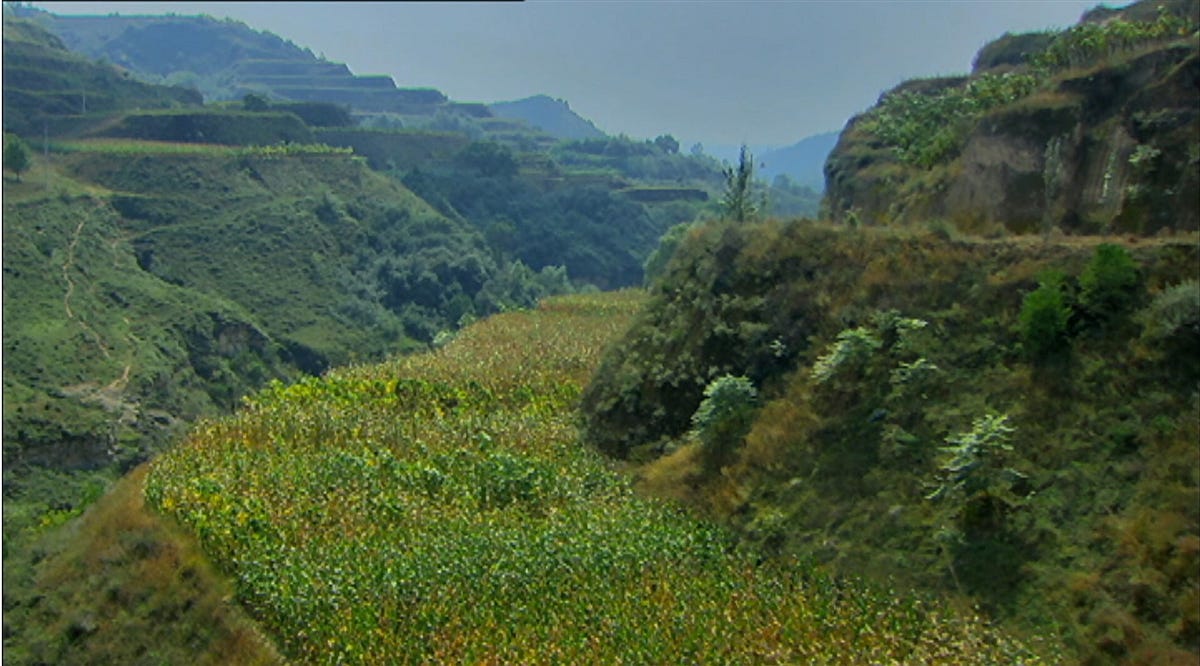 ecosystem restoration of Loess Plateau China