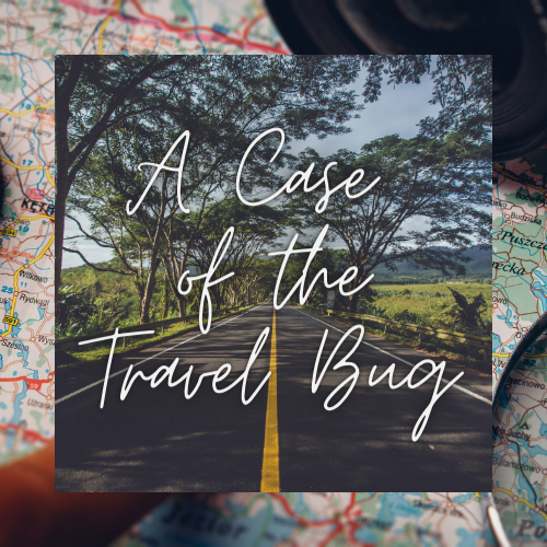 A Case Of The Travel Bug Medium A Case Of The Travel Bug Medium