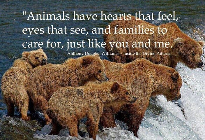 rifkin animals By animal rights activists and by growing public support for the humane treatment of animals, these companies have financed research into, among other things, the emotional, mental and. rifkin animals By animal rights activists and by growing public support for the humane treatment of animals, these companies have financed research into, among other things, the emotional, mental and.