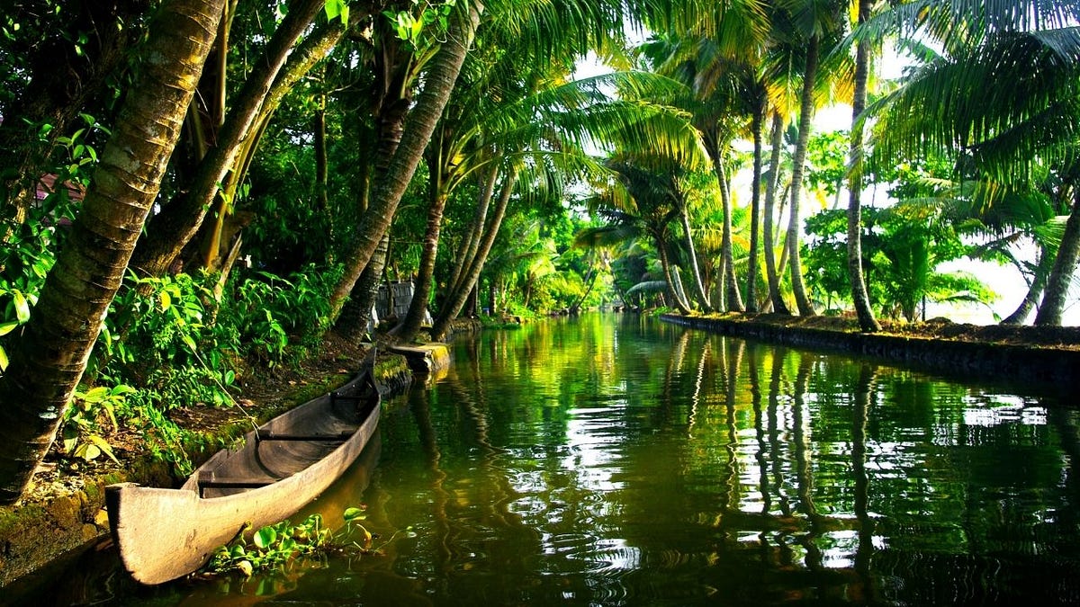 Boat, Kerala, backwaters 