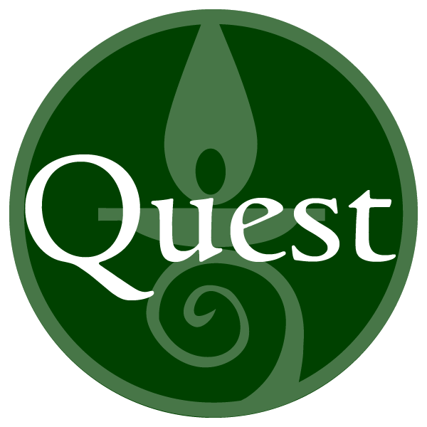 quest-for-meaning-medium