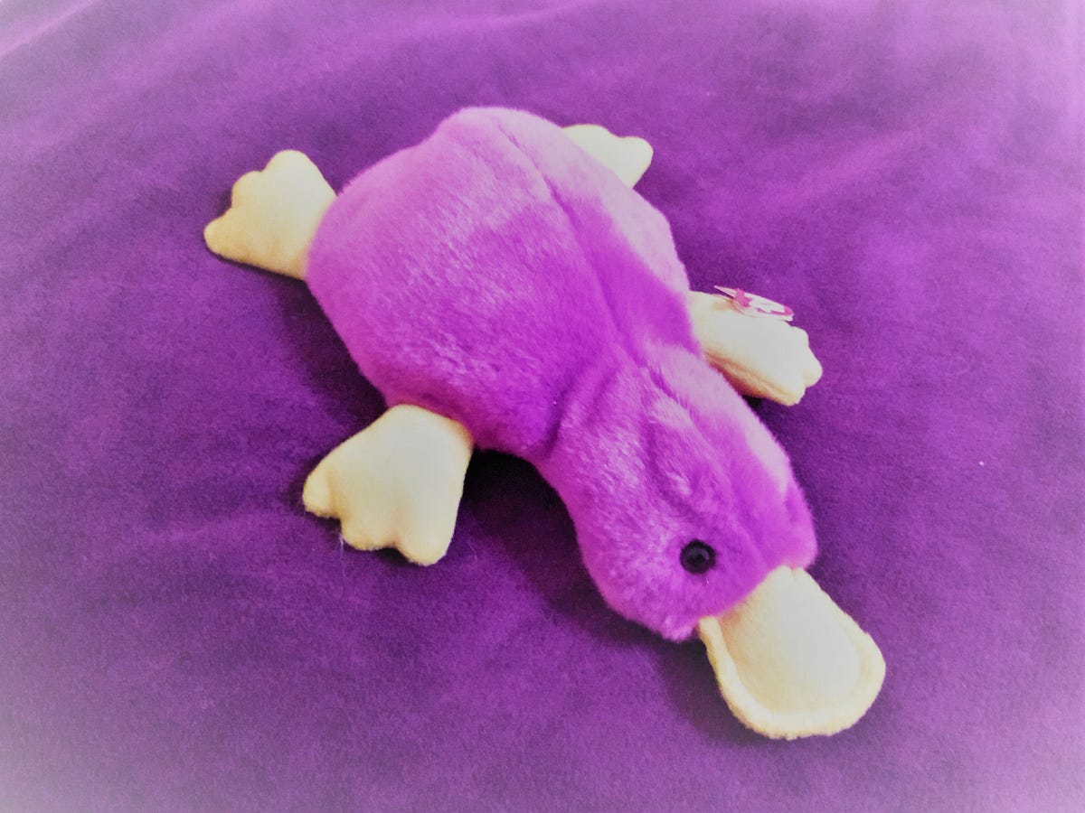 platypus toy