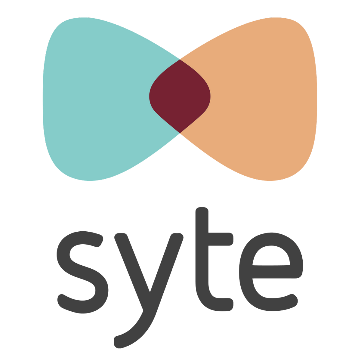 syte-engineering-medium