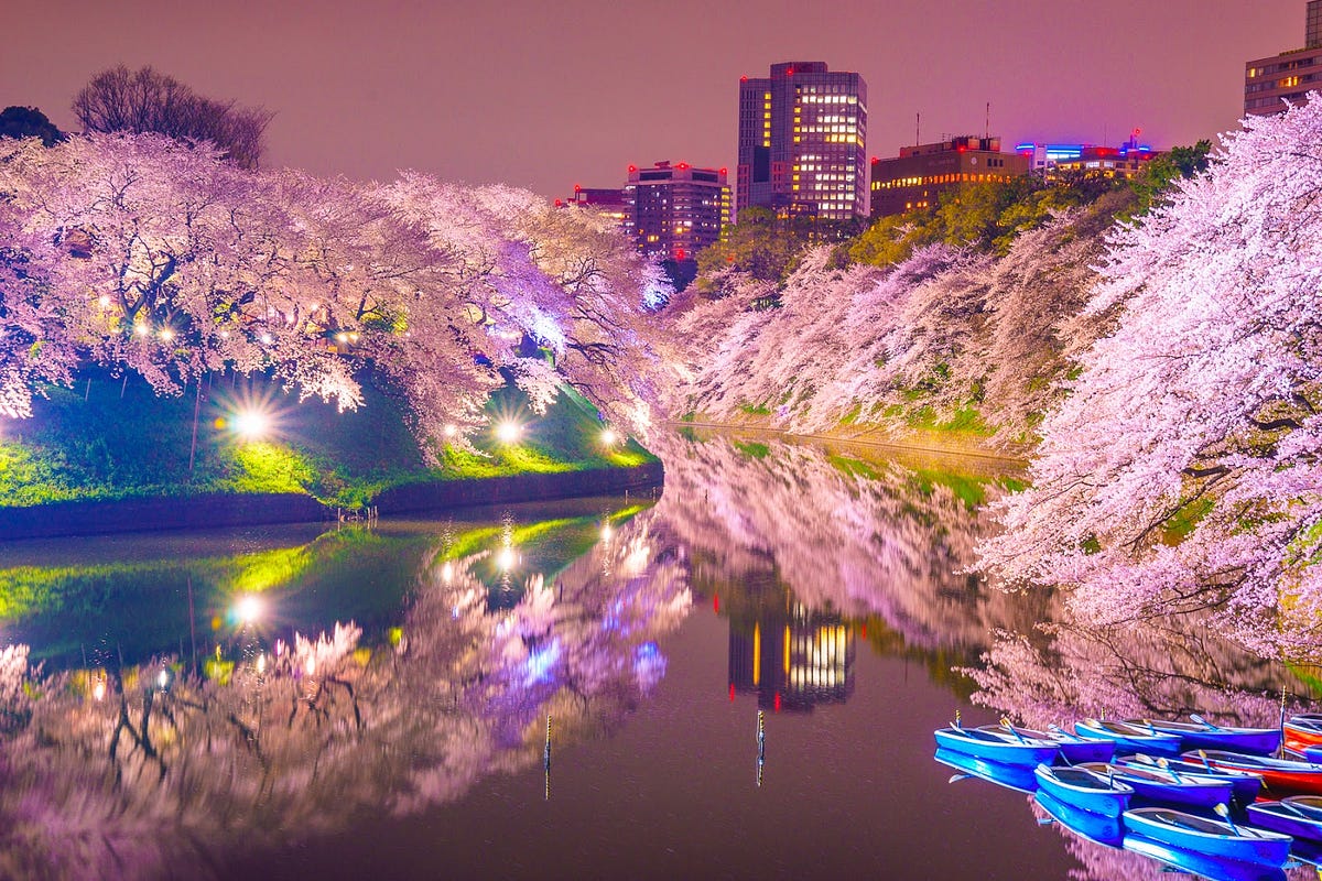 Best Sakura  Spots in Tokyo  Vol3 Chidorigafuchi JW Web 