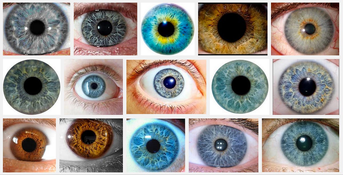 Structural Eye Color is Amazing – Paul Van Slembrouck – Medium