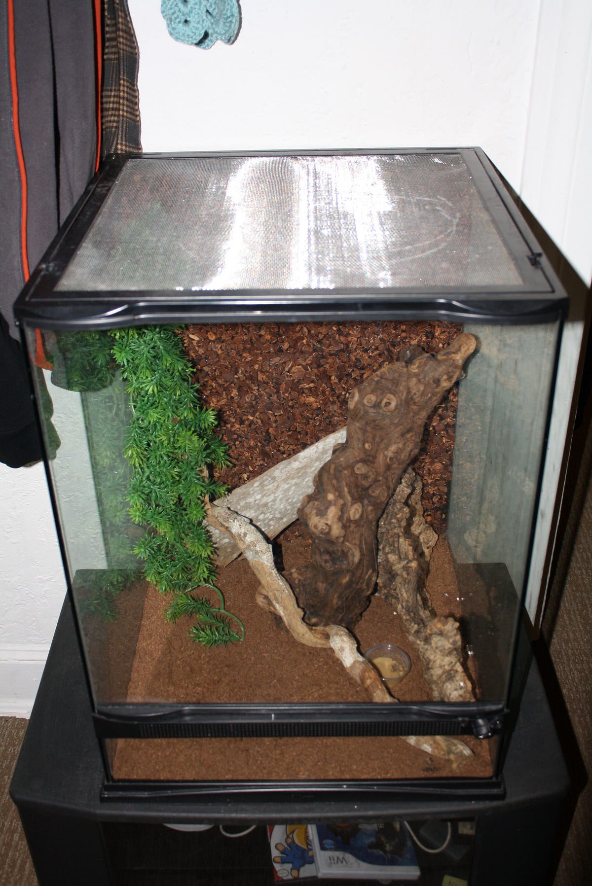 The Complete Crested Gecko Care Guide – Hunter Byrd – Medium