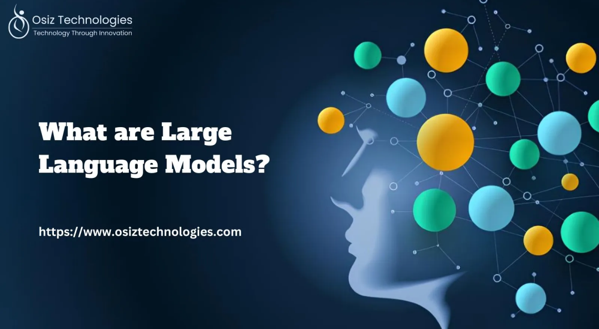 What Are Large Language Models? Key Things You Need To Know!