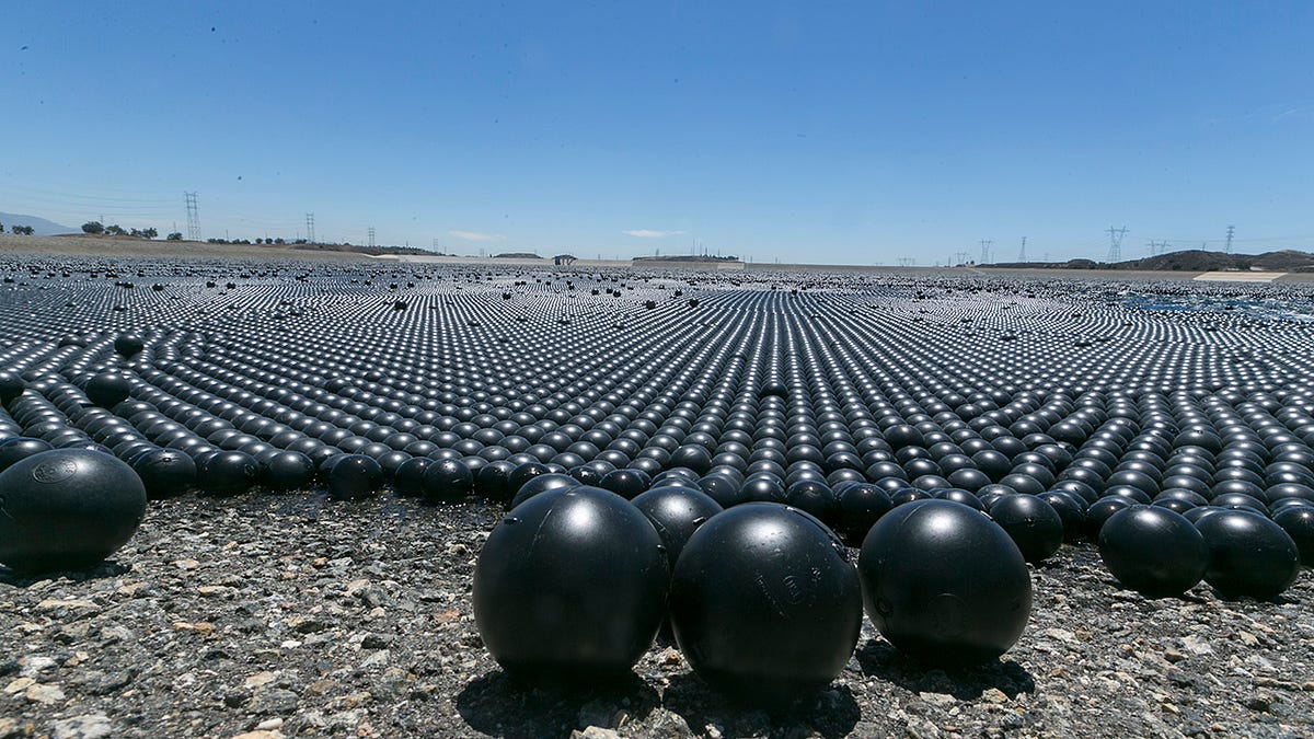 Massive Black Ball Pit Takes Over Reservoir To Protect Water 9574