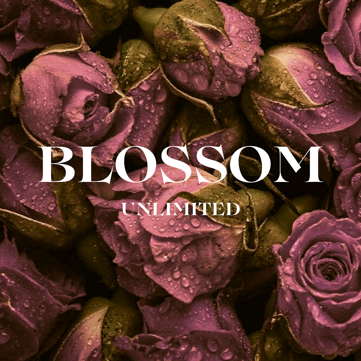 Blossom Unlimited – Medium