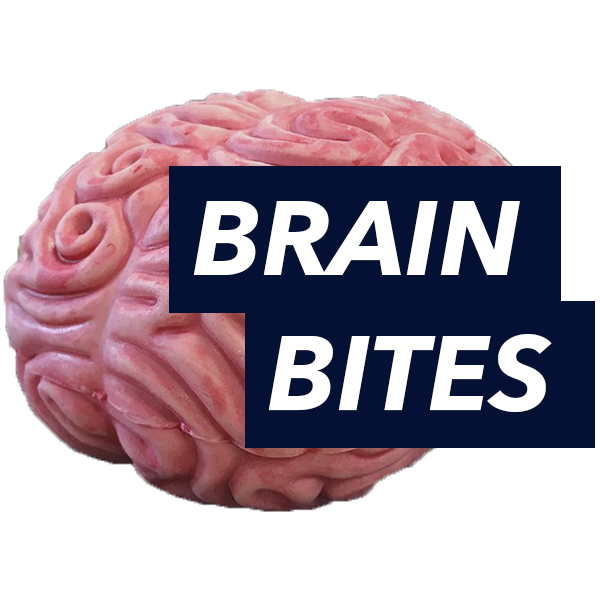 Brain Bites Medium