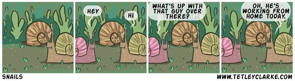 Comic about snails and working from home
