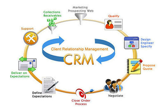 crm program manager