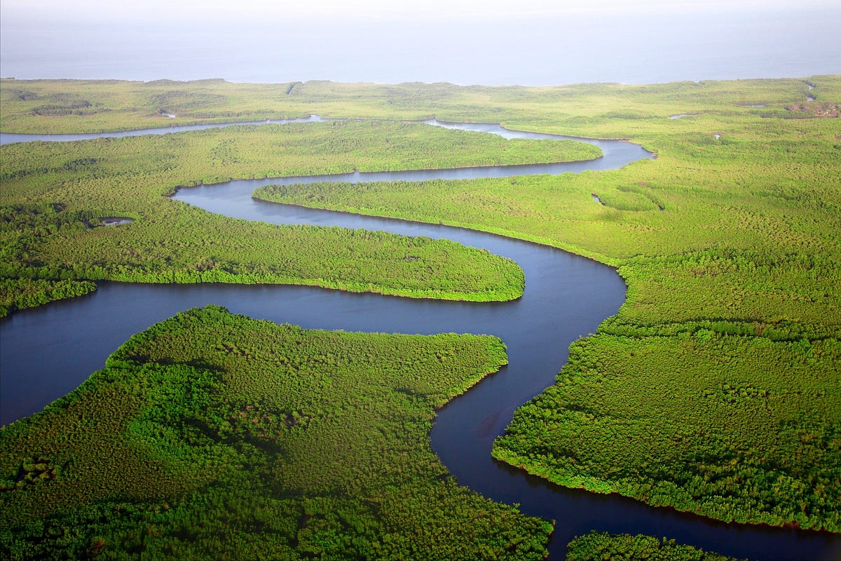 let-the-rivers-flow-celebrate-the-international-day-of-action-for-rivers