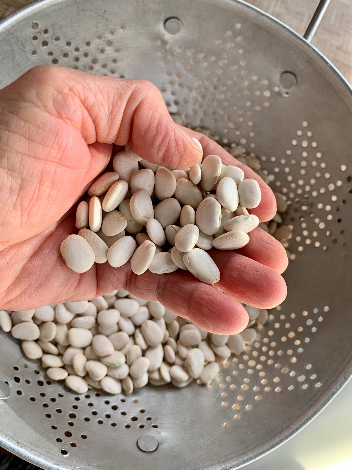 Holding beans over a colander