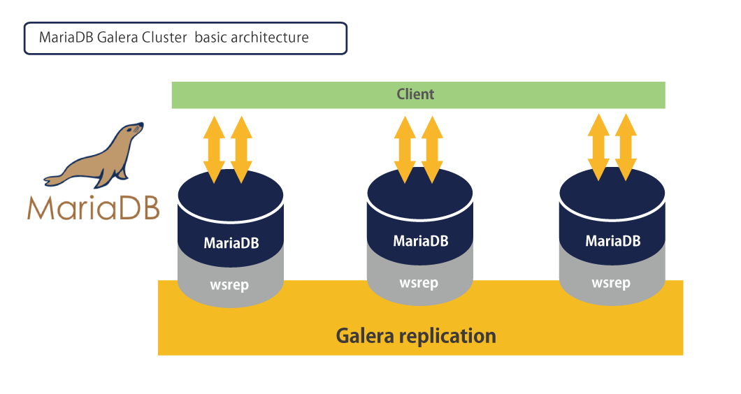 Mariadb client