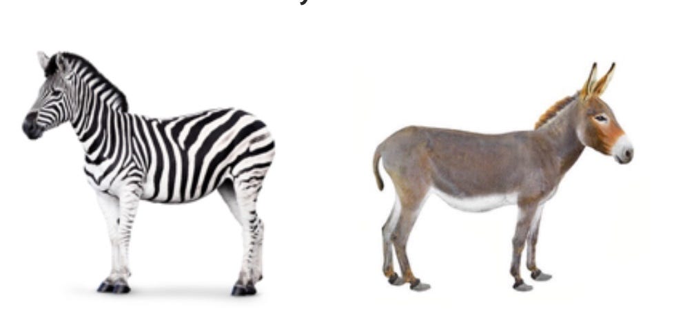 Zebras vs Donkeys – Manoj Paprikar – Medium