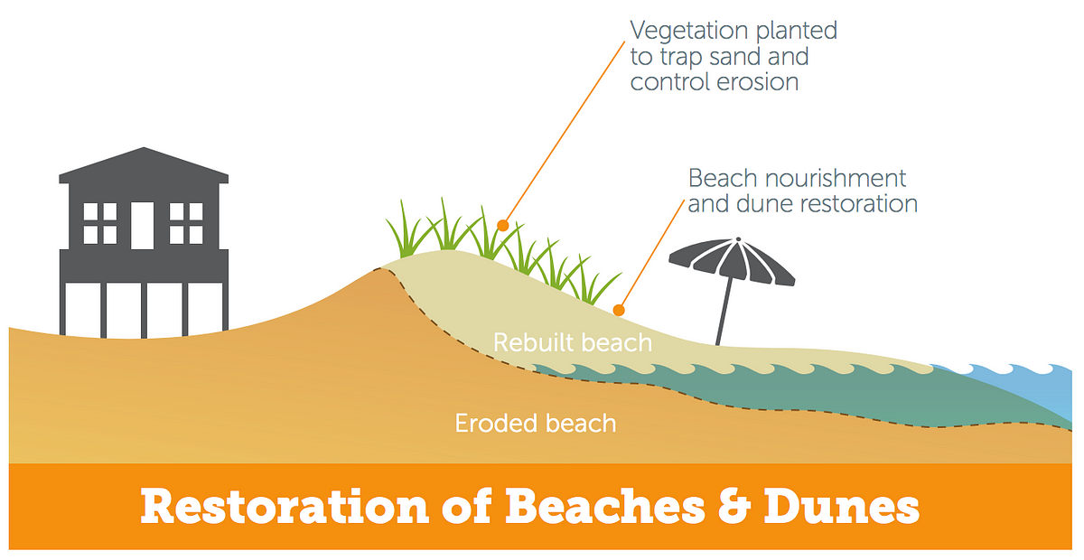 Coastal Erosion Diagram