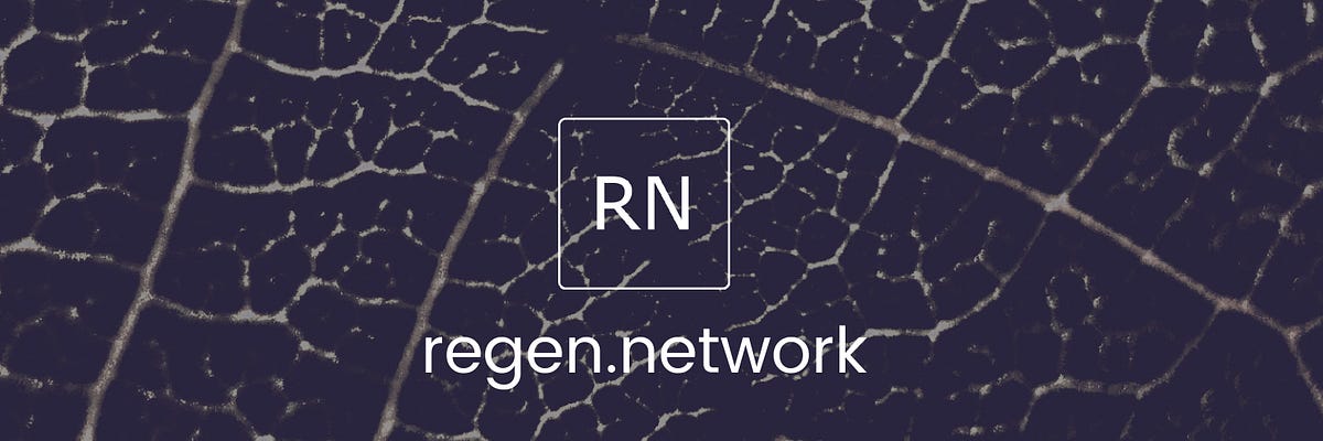 regen.network Emerges @ devcon3 \u2013 Regen Network \u2013 Medium