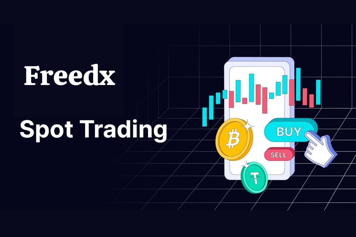 Beginner Guide: How I Place My Trades on Freedx Step-by-Step