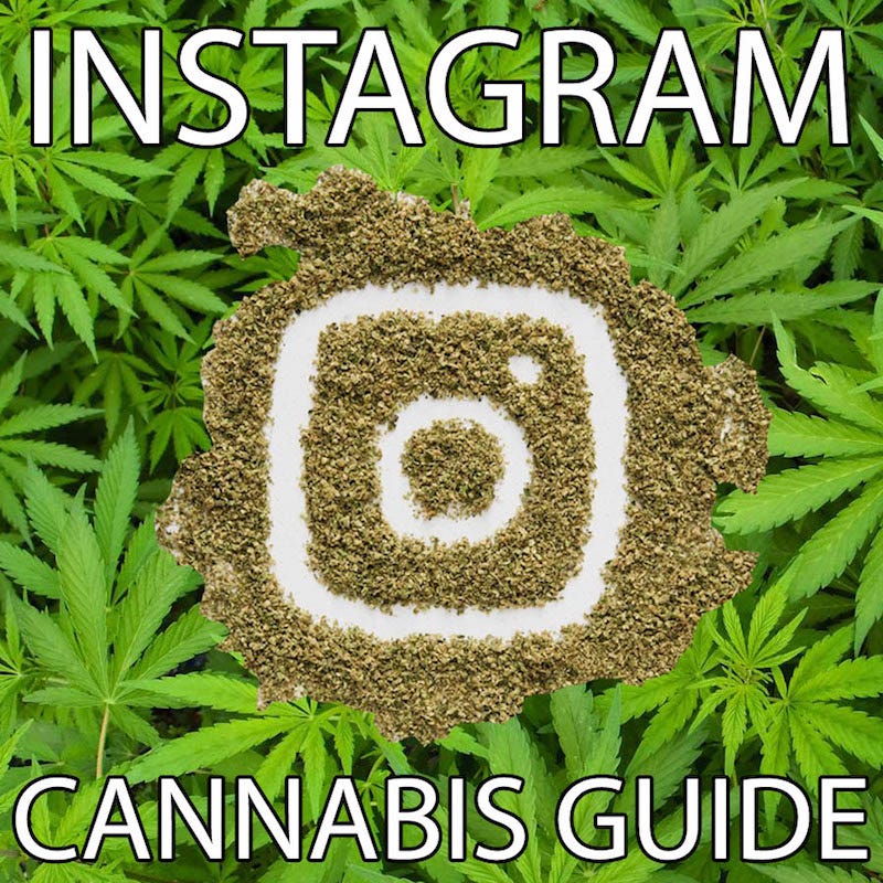 the ultimate and most up to date cannabis instagram guide for marketers influencers - best weed pages to follow on instagram