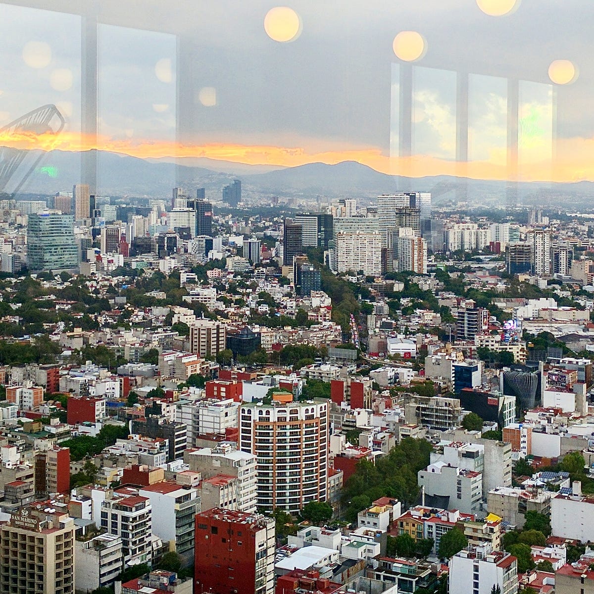 discover-the-8-largest-cities-in-mexico-a-z-animals