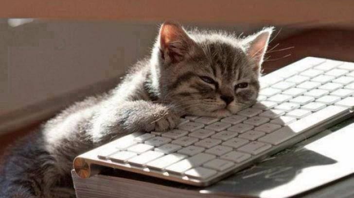 Working in quality time instead of clock time