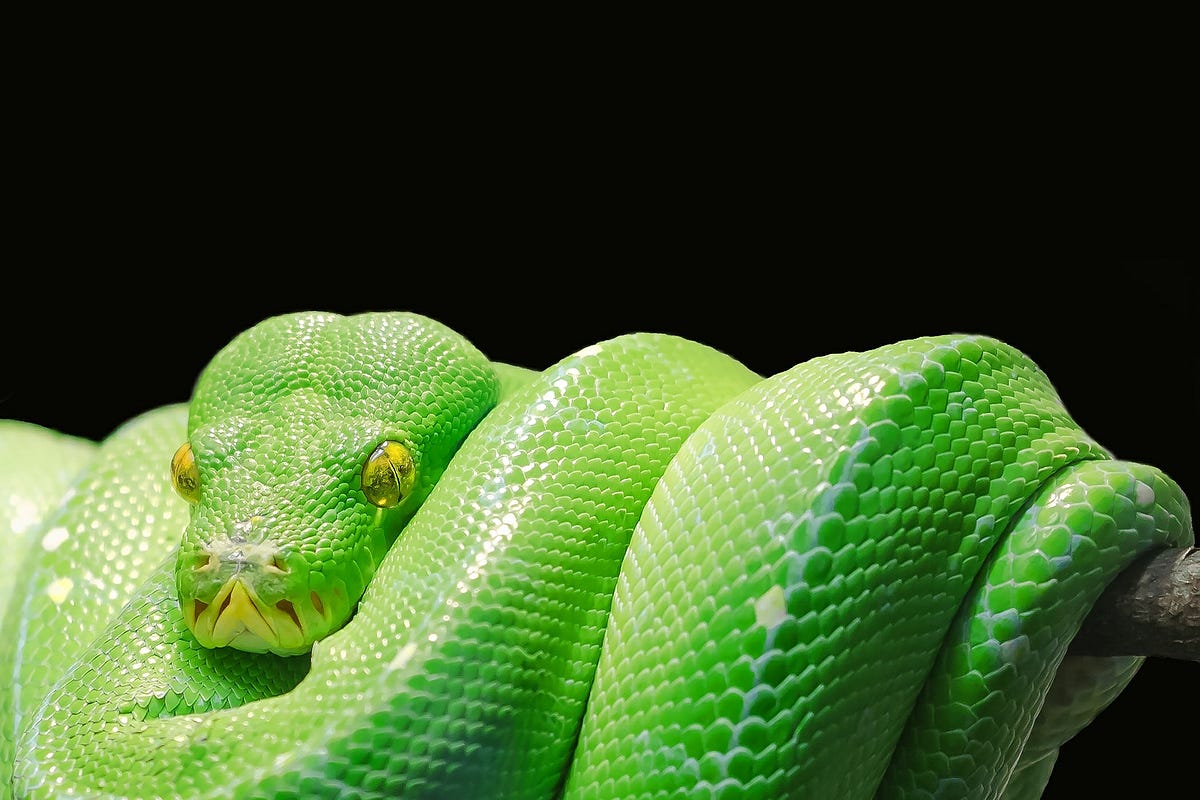 How To Successfully Install Anaconda On A Mac and Actually Get It To Work 