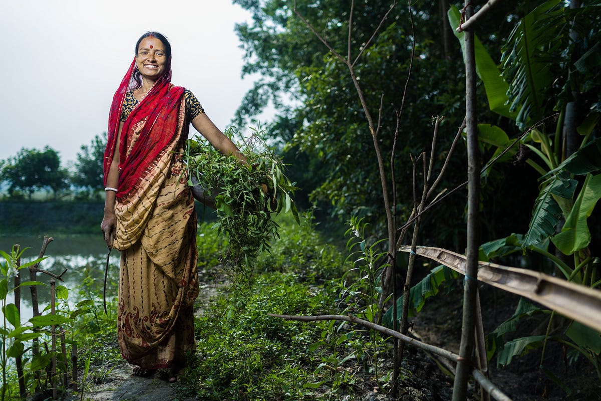Baby Shikari is a rural rice farmer in Bangladesh. After receiving agricultural training, her family eats more nutritious food, shares some with their relatives, and sells the rest at the local market. / Morgana Wingard for USAID
